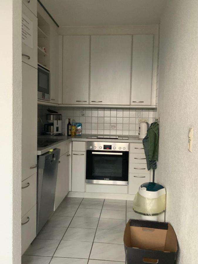 Ferienwohnung Sonnenschein Grenzach-Wyhlen Exteriör bild